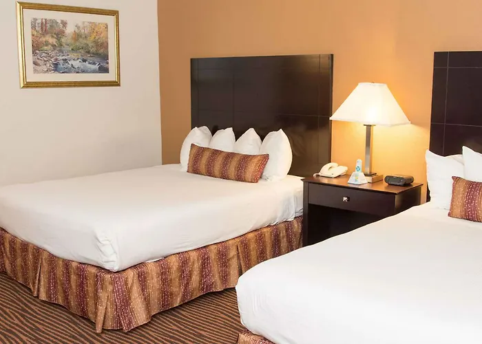 Hotel Western 3*